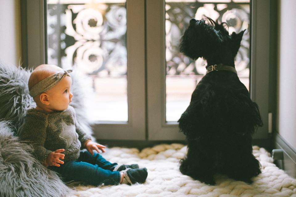 Vaiko auginimas su šunimi teigiamai veikia emocinę vaiko raidą, taip pat spartina fizinį vystymąsi.
